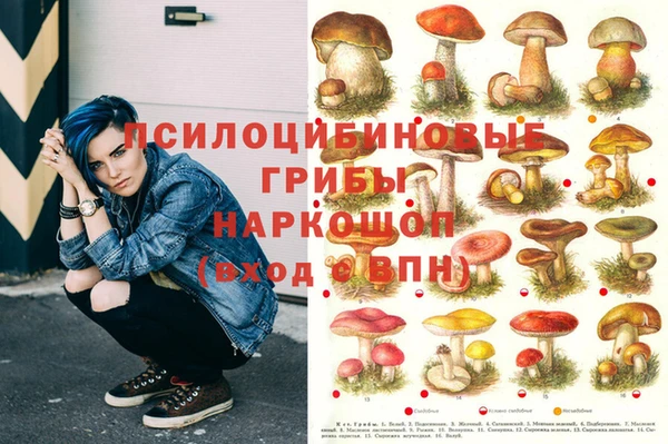 MESCALINE Аркадак