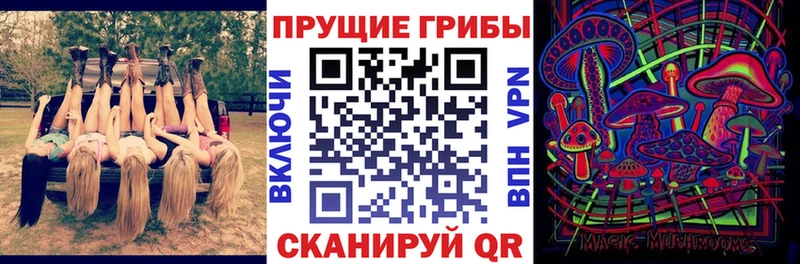 Галлюциногенные грибы прущие грибы  где найти   Великий Устюг 